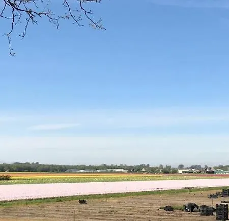 221 * Noordwijkerhout