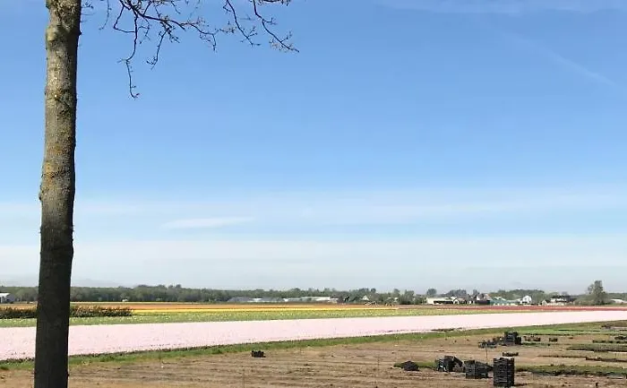 221 * Noordwijkerhout